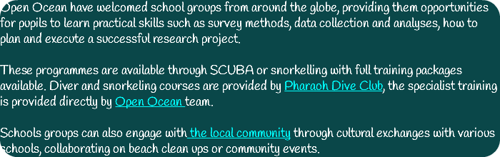 Open Ocean have welcomed school groups from around the globe, providing them opportunities for pupils to learn practical skills such as survey methods, data collection and analyses, how to plan and execute a successful research project. These programmes are available through SCUBA or snorkelling with full training packages available. Diver and snorkeling courses are provided by Pharaoh Dive Club, the specialist training is provided directly by Open Ocean team. Schools groups can also engage with the local community through cultural exchanges with various schools, collaborating on beach clean ups or community events.